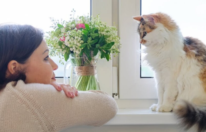 владелец внимательно смотрит на мяукающую кошку